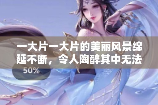 一大片一大片的美丽风景绵延不断，令人陶醉其中无法自拔