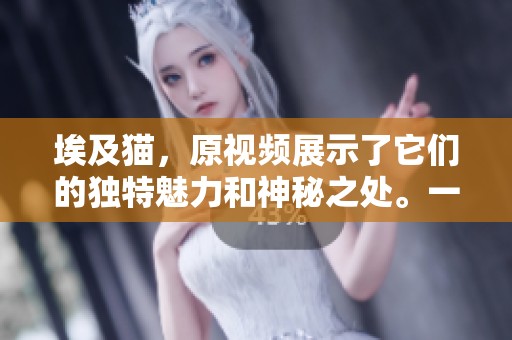 埃及猫，原视频展示了它们的独特魅力和神秘之处。一起领略埃及猫的奇妙世界吧！