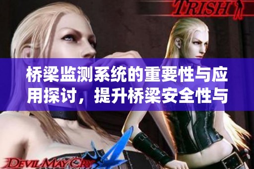 桥梁监测系统的重要性与应用探讨，提升桥梁安全性与可靠性的有效手段