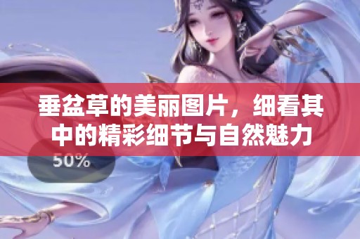 垂盆草的美丽图片，细看其中的精彩细节与自然魅力