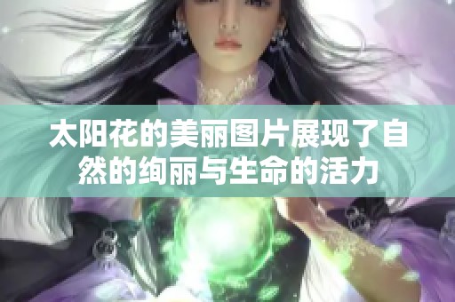 太阳花的美丽图片展现了自然的绚丽与生命的活力