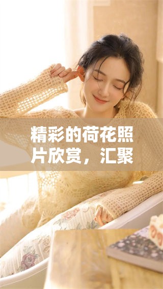 精彩的荷花照片欣赏，汇聚了多种荷花图片大全之美