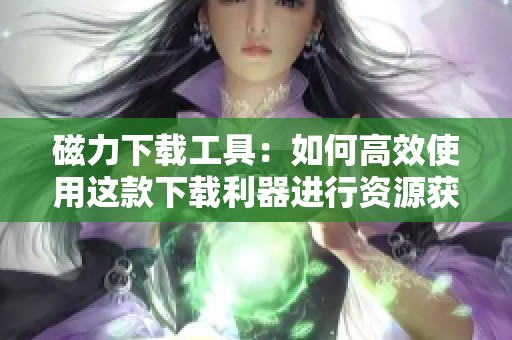 磁力下载工具：如何高效使用这款下载利器进行资源获取
