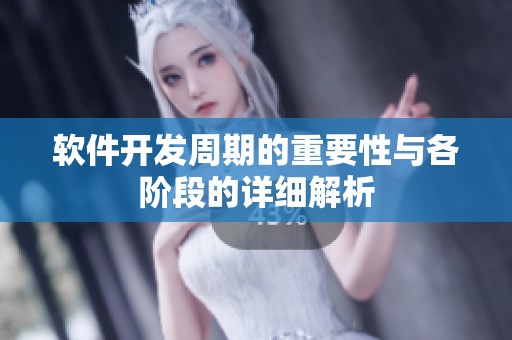软件开发周期的重要性与各阶段的详细解析
