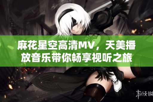 麻花星空高清MV，天美播放音乐带你畅享视听之旅