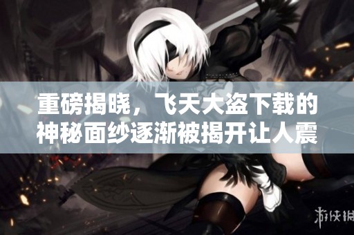 重磅揭晓，飞天大盗下载的神秘面纱逐渐被揭开让人震惊