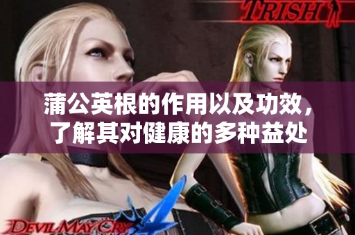 蒲公英根的作用以及功效，了解其对健康的多种益处