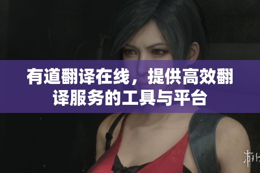 有道翻译在线，提供高效翻译服务的工具与平台