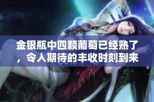 金银瓶中四颗葡萄已经熟了，令人期待的丰收时刻到来了