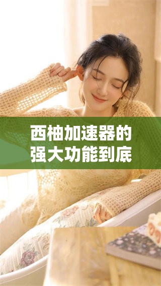 西柚加速器的强大功能到底有多强？一起来看看它的实际应用吧！