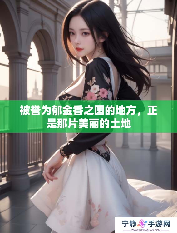 被誉为郁金香之国的地方，正是那片美丽的土地