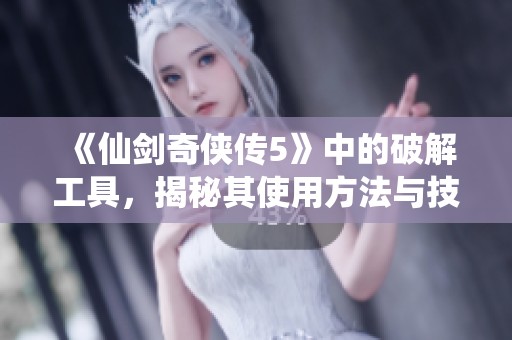 《仙剑奇侠传5》中的破解工具，揭秘其使用方法与技巧分享