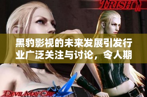 黑豹影视的未来发展引发行业广泛关注与讨论，令人期待接下来的创新举措