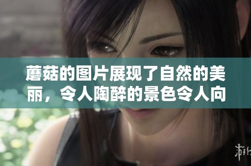 蘑菇的图片展现了自然的美丽，令人陶醉的景色令人向往。