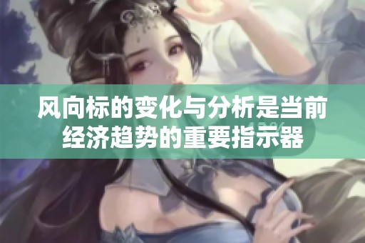 风向标的变化与分析是当前经济趋势的重要指示器