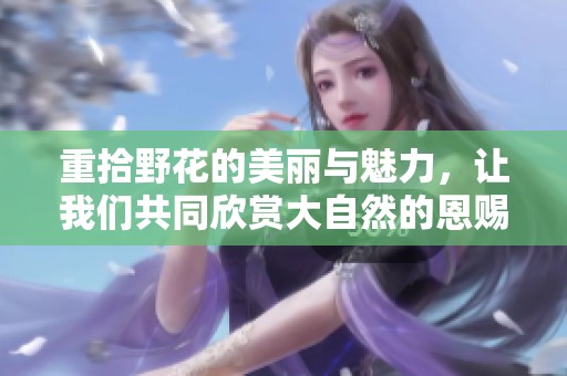 重拾野花的美丽与魅力，让我们共同欣赏大自然的恩赐