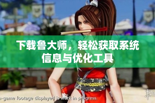 下载鲁大师，轻松获取系统信息与优化工具