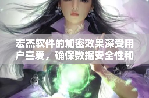 宏杰软件的加密效果深受用户喜爱，确保数据安全性和隐私保护
