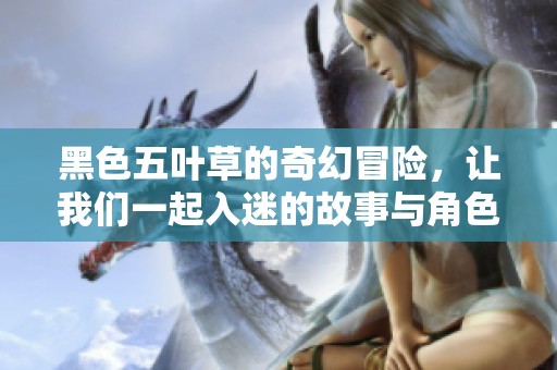 黑色五叶草的奇幻冒险，让我们一起入迷的故事与角色