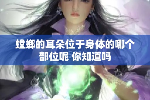 螳螂的耳朵位于身体的哪个部位呢 你知道吗