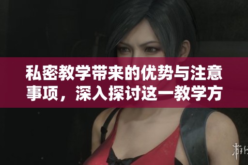 私密教学带来的优势与注意事项，深入探讨这一教学方法的独特之处