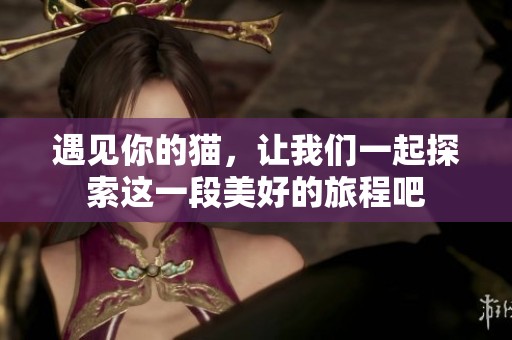 遇见你的猫，让我们一起探索这一段美好的旅程吧