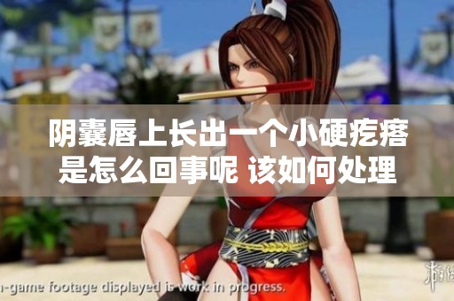 阴囊唇上长出一个小硬疙瘩是怎么回事呢 该如何处理这种情况呢