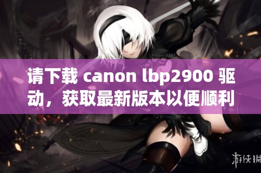 请下载 canon lbp2900 驱动，获取最新版本以便顺利使用打印机