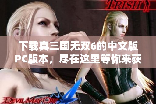 下载真三国无双6的中文版PC版本，尽在这里等你来获取