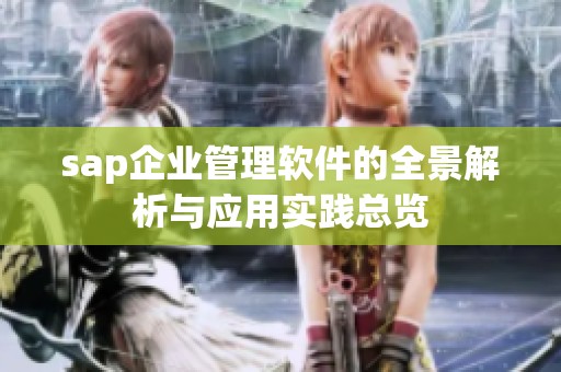 sap企业管理软件的全景解析与应用实践总览