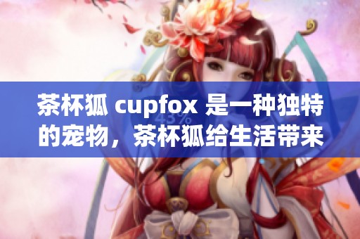 茶杯狐 cupfox 是一种独特的宠物，茶杯狐给生活带来快乐与陪伴