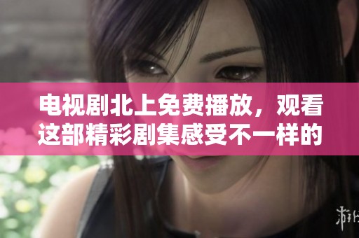 电视剧北上免费播放，观看这部精彩剧集感受不一样的故事旅程