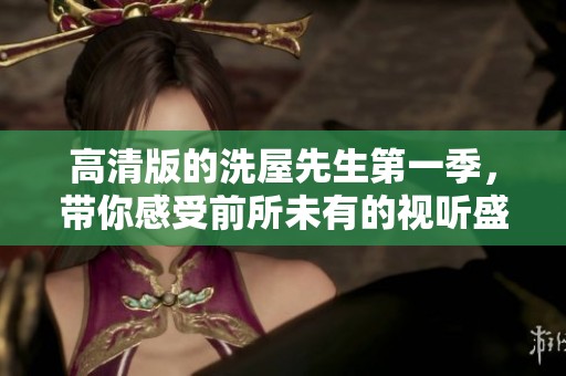 高清版的洗屋先生第一季，带你感受前所未有的视听盛宴