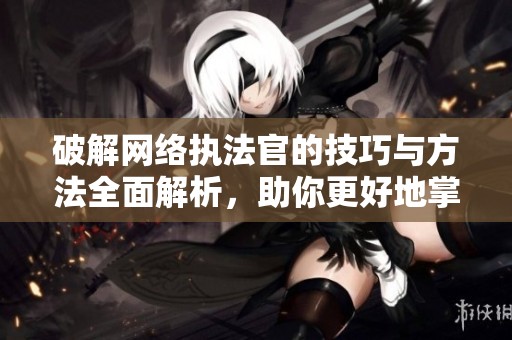破解网络执法官的技巧与方法全面解析，助你更好地掌握这款软件