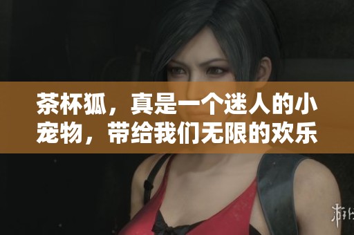 茶杯狐，真是一个迷人的小宠物，带给我们无限的欢乐与陪伴
