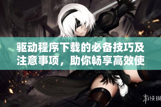 驱动程序下载的必备技巧及注意事项，助你畅享高效使用体验