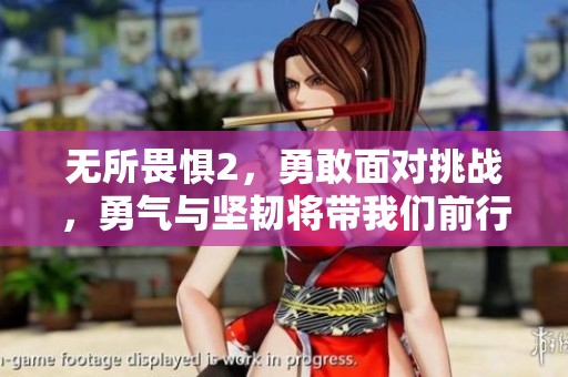 无所畏惧2，勇敢面对挑战，勇气与坚韧将带我们前行