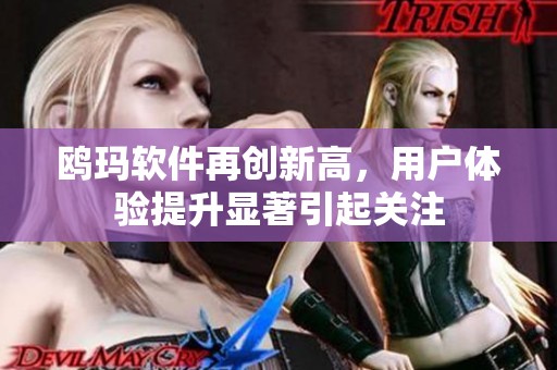 鸥玛软件再创新高，用户体验提升显著引起关注