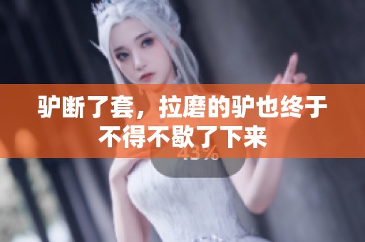 驴断了套，拉磨的驴也终于不得不歇了下来