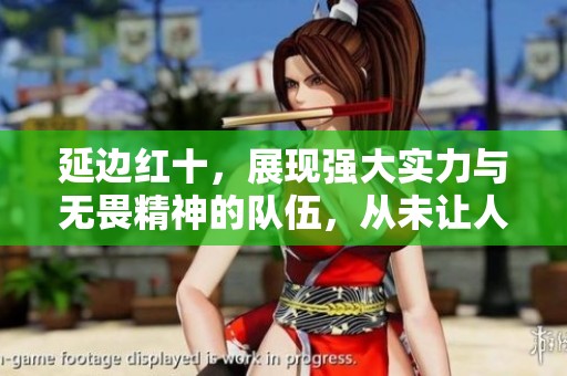 延边红十，展现强大实力与无畏精神的队伍，从未让人失望。