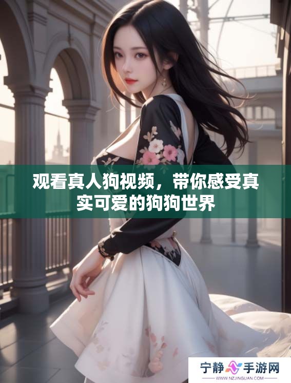 观看真人狗视频，带你感受真实可爱的狗狗世界