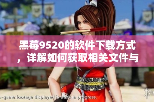 黑莓9520的软件下载方式，详解如何获取相关文件与应用