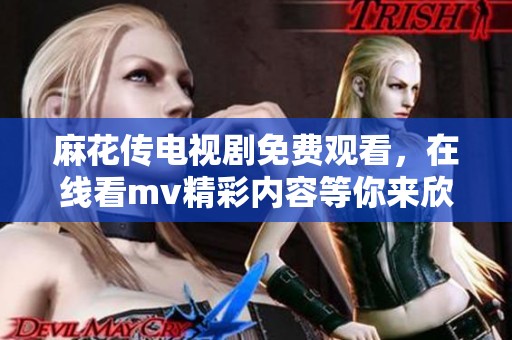 麻花传电视剧免费观看，在线看mv精彩内容等你来欣赏