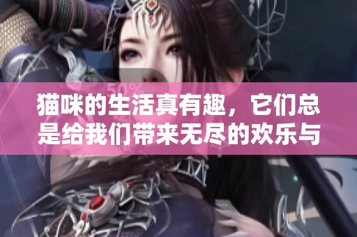 猫咪的生活真有趣，它们总是给我们带来无尽的欢乐与陪伴