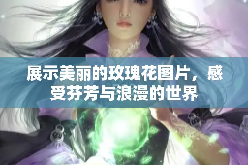 展示美丽的玫瑰花图片，感受芬芳与浪漫的世界