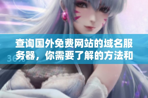 查询国外免费网站的域名服务器，你需要了解的方法和步骤