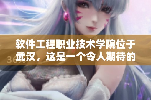 软件工程职业技术学院位于武汉，这是一个令人期待的学习选择