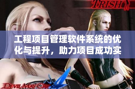 工程项目管理软件系统的优化与提升，助力项目成功实施与管理