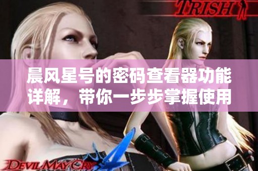 晨风星号的密码查看器功能详解，带你一步步掌握使用技巧