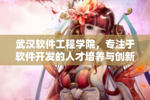 武汉软件工程学院，专注于软件开发的人才培养与创新教育